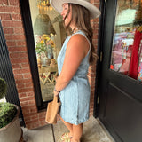 Dahlia Denim Dress