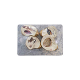 Oyster Style Magnets (on metal sheet)