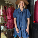 Olivia Button Down Dress