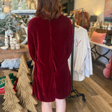 Julieta Velvet Mini Dress