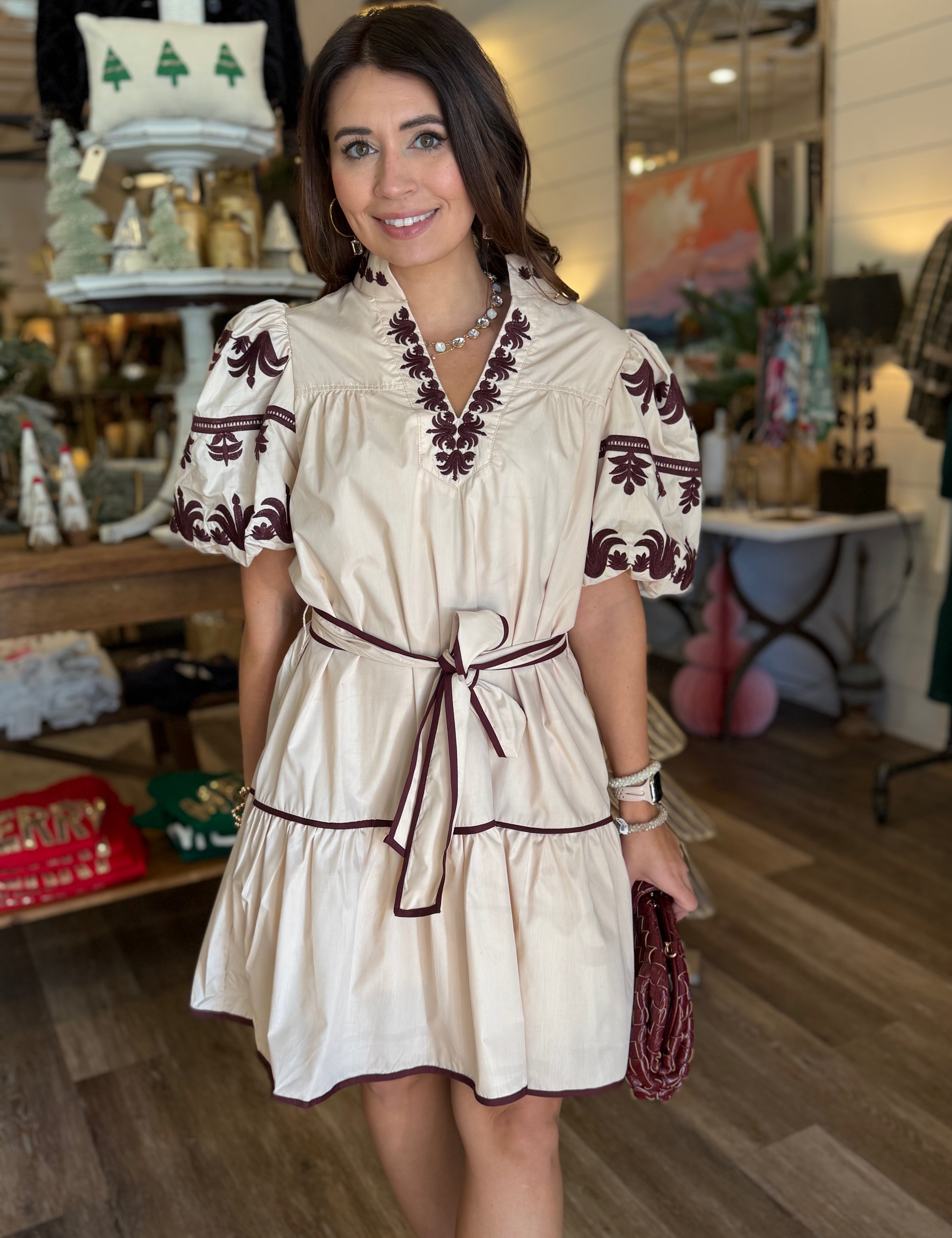 Darcie Embroidered Mini Dress