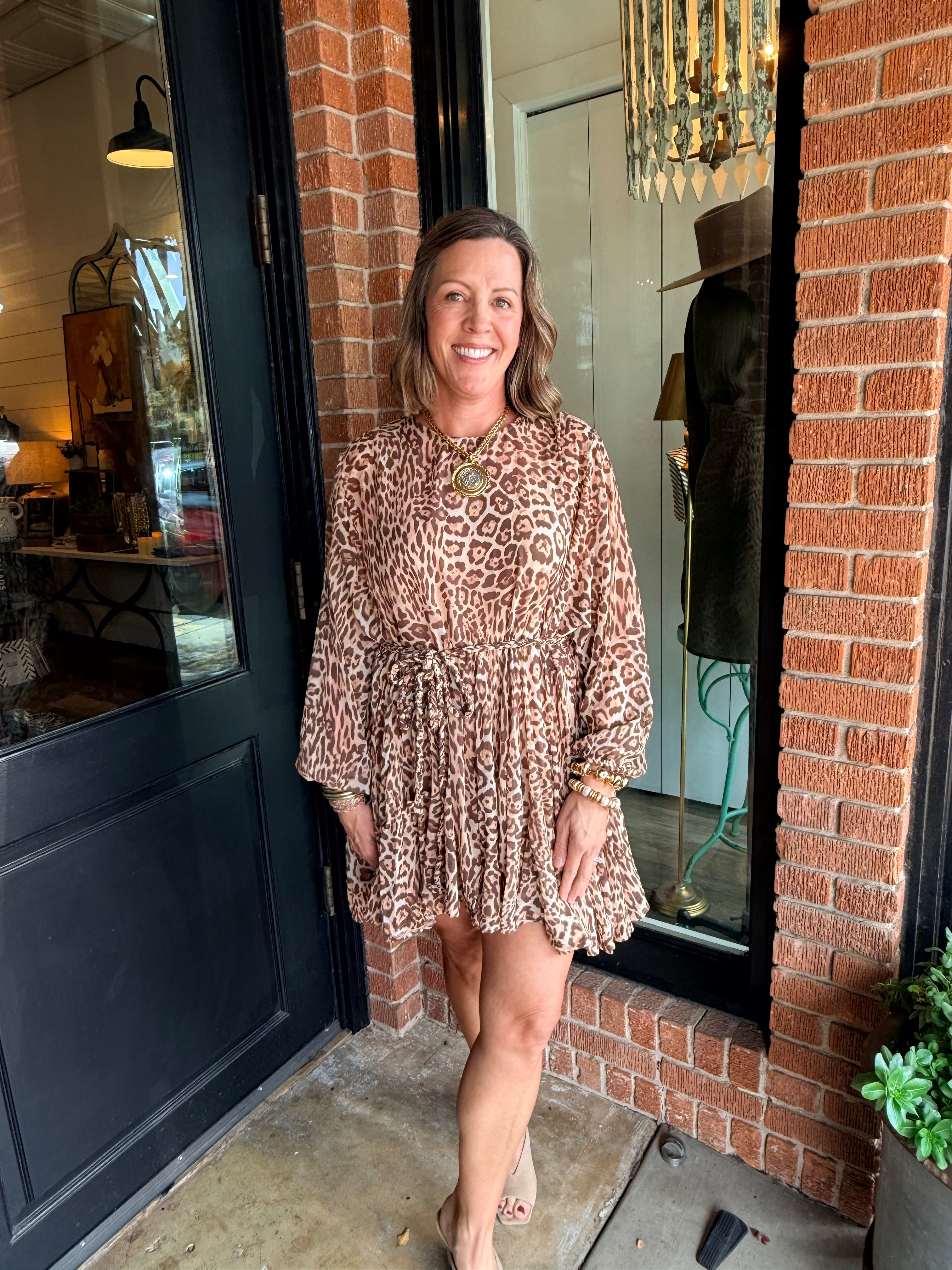 Dani Leopard Mini Dress