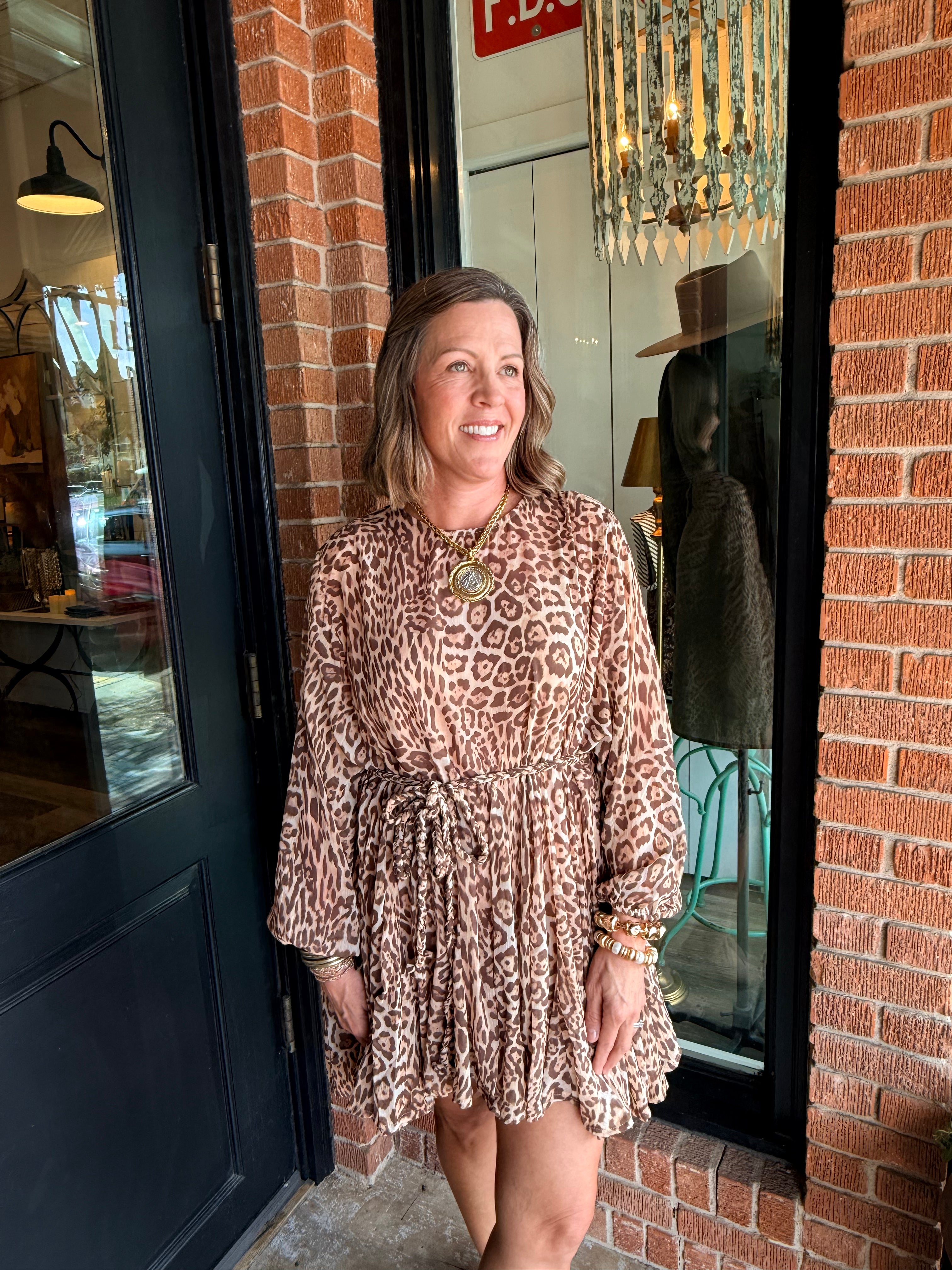Dani Leopard Mini Dress