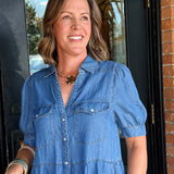 Janice Chambray Mini Dress