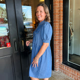 Janice Chambray Mini Dress