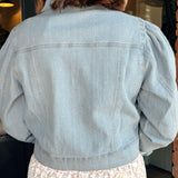 Lisa Cropped Denim Jacket