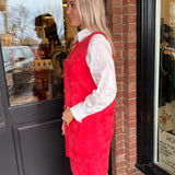 Stella Sleeveless Suede Dress