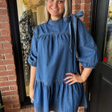 Elora Bow Tie Neck Denim Dress