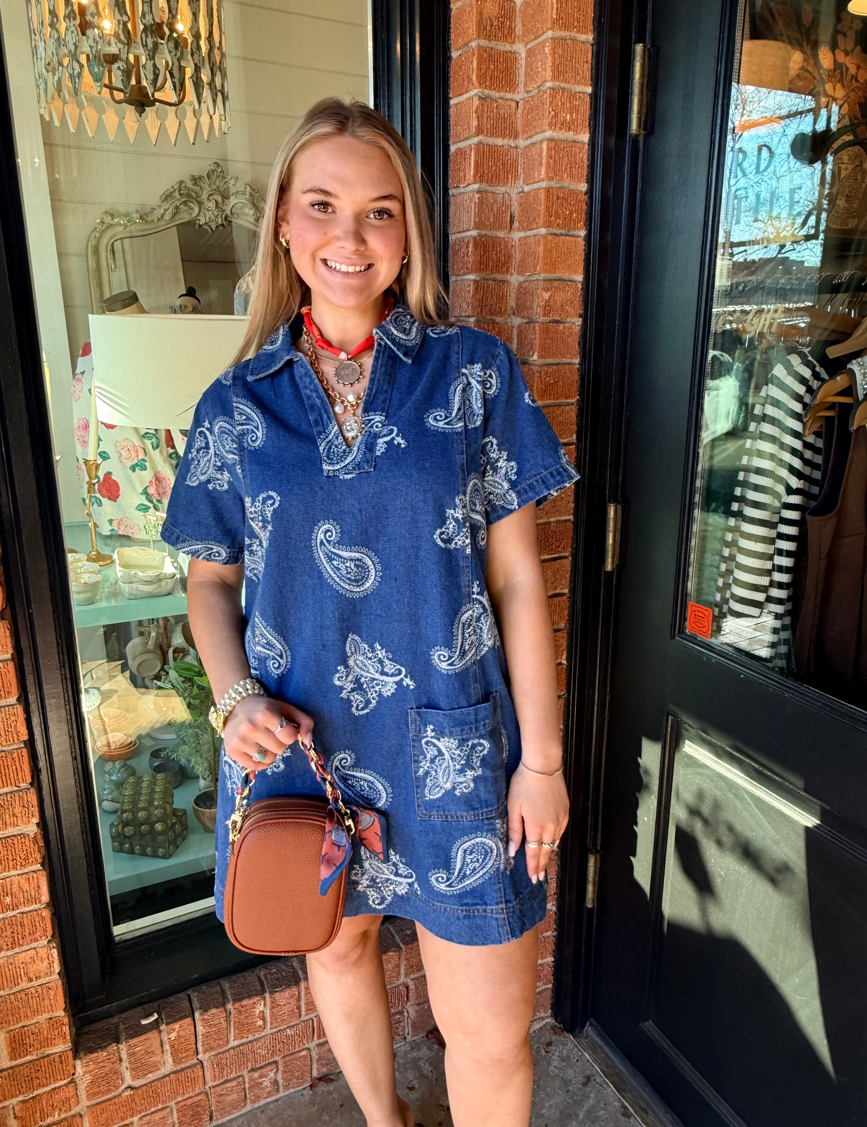 Cassidy Denim Paisley Mini Dress