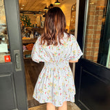 Cherry Poplin Shirt Dress
