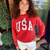 USA Sweatshirt