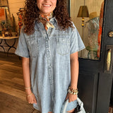 Julia Denim Shirt Dress