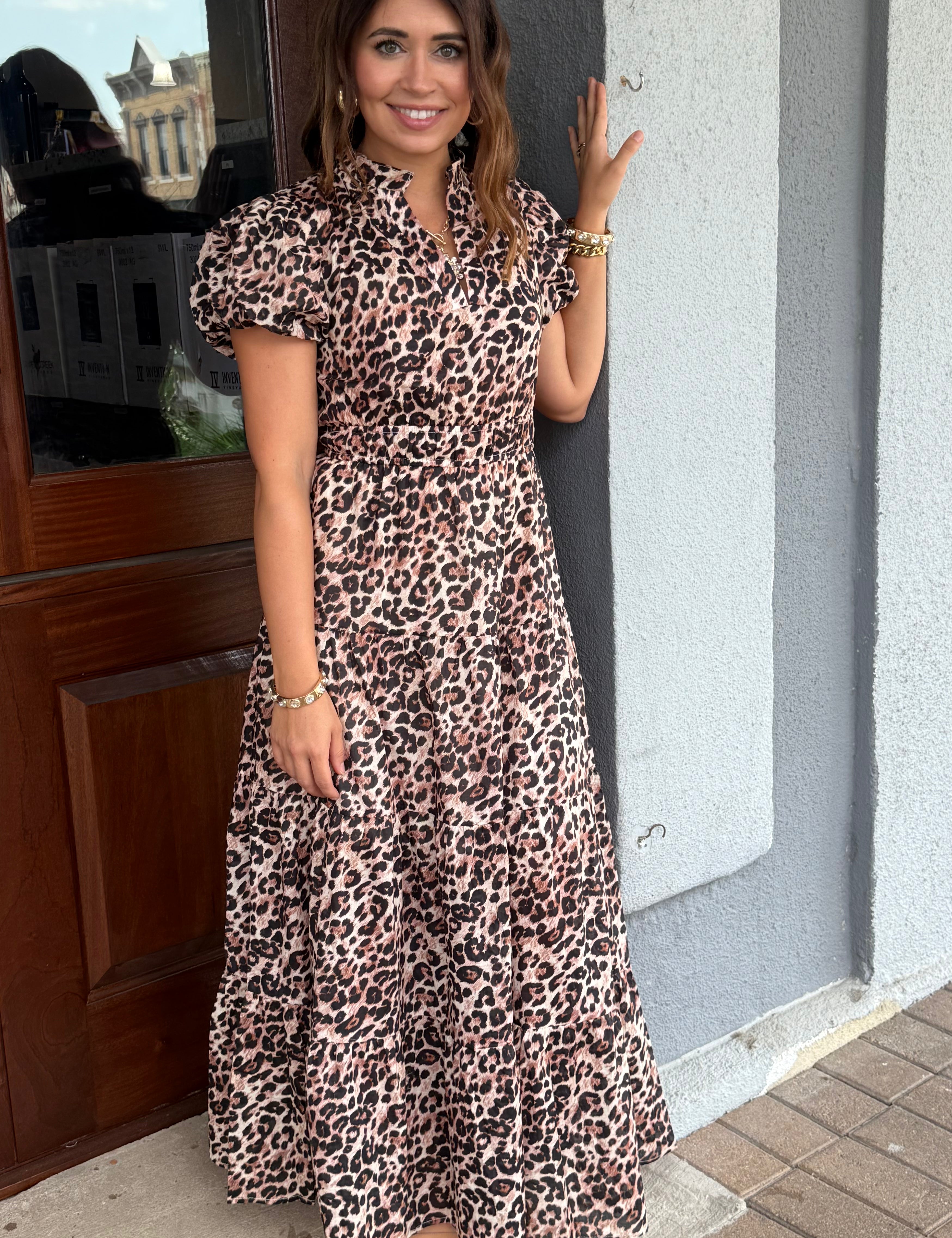 Dixie Animal Print Dress