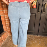 Kayla Denim Wide Leg Pants