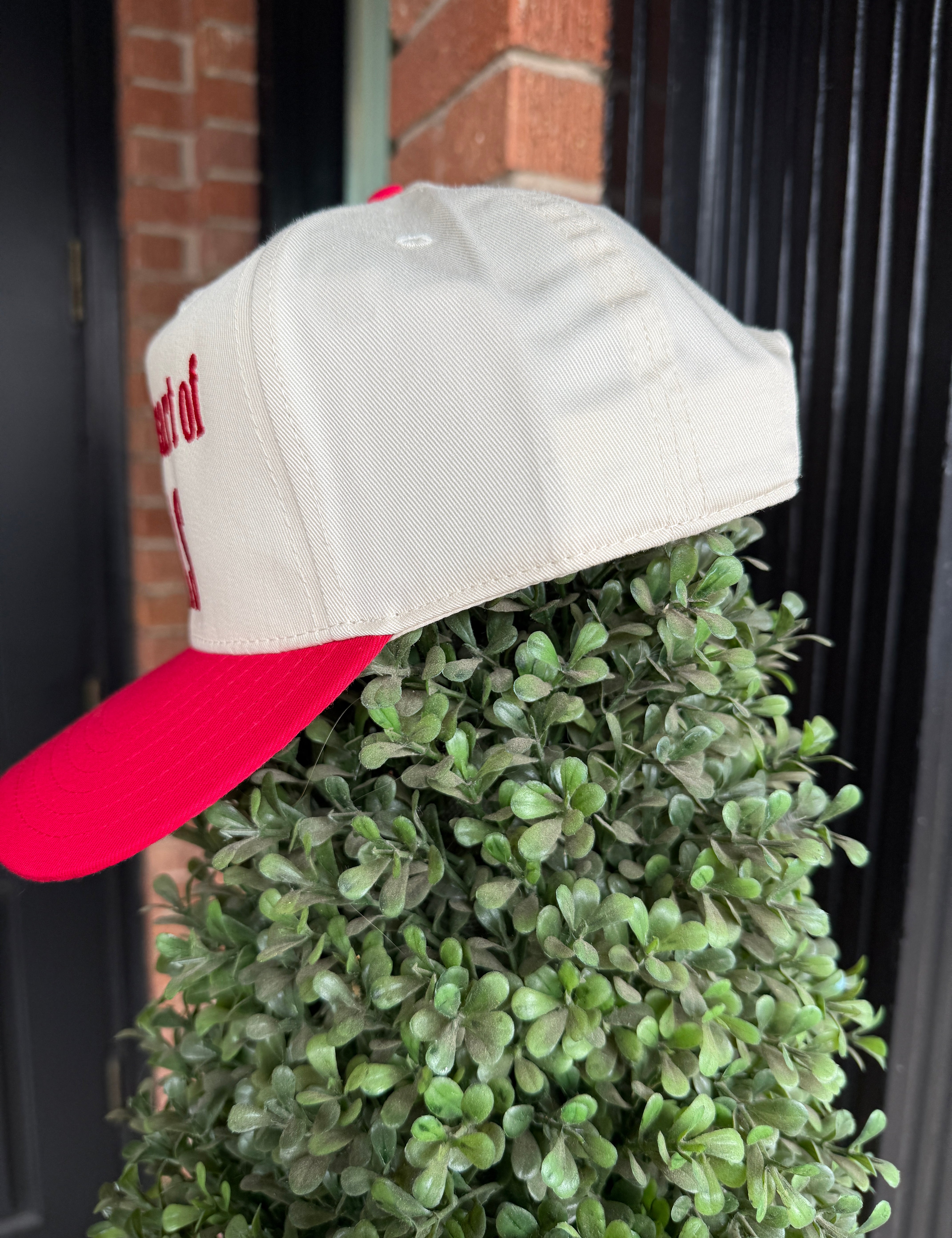 Deep in the Heart of Texas Hat