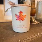 Autumn in Georgetown, TX Pmpkin Cinnamon Candle small