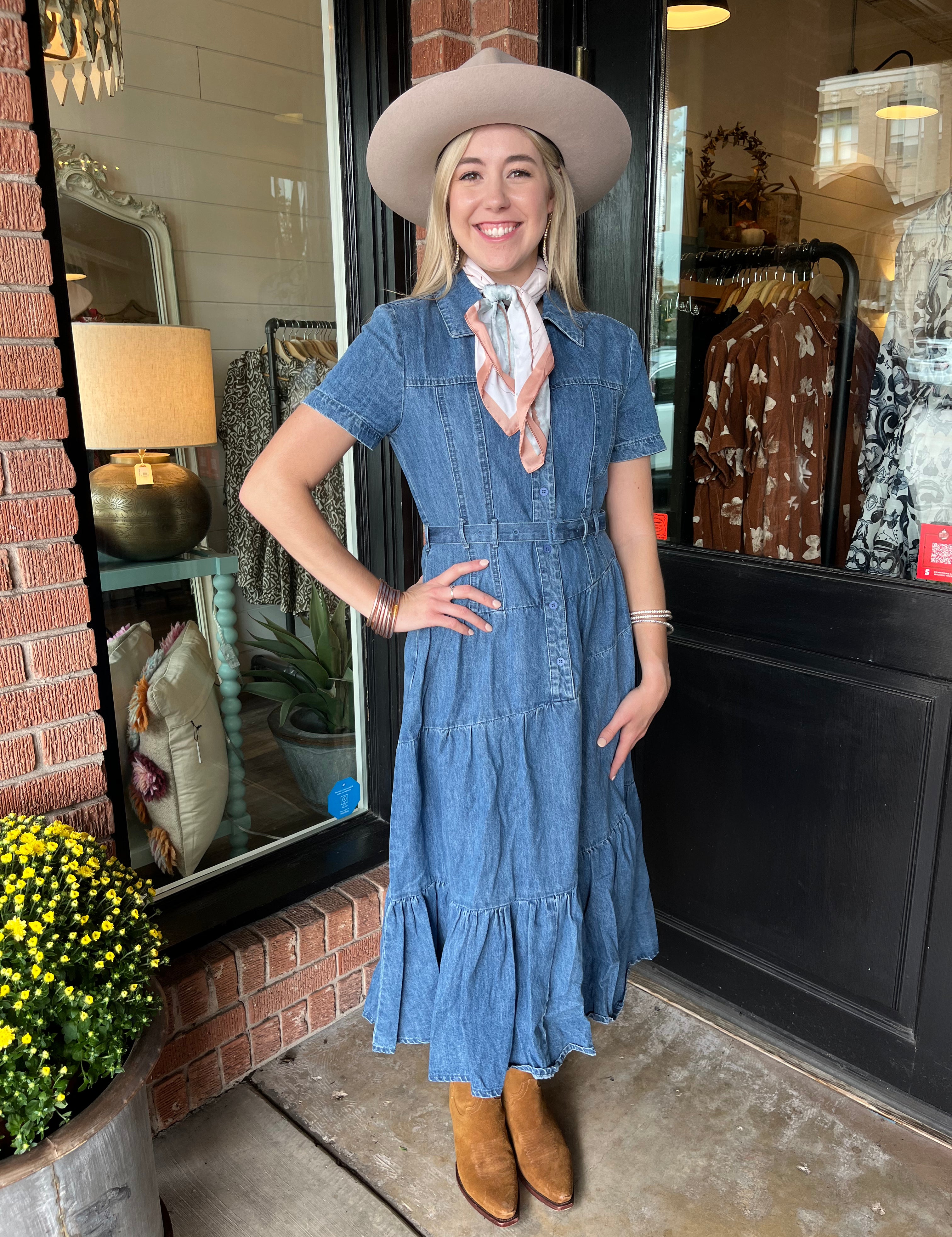 Isa Denim Dress