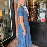 Isa Denim Dress