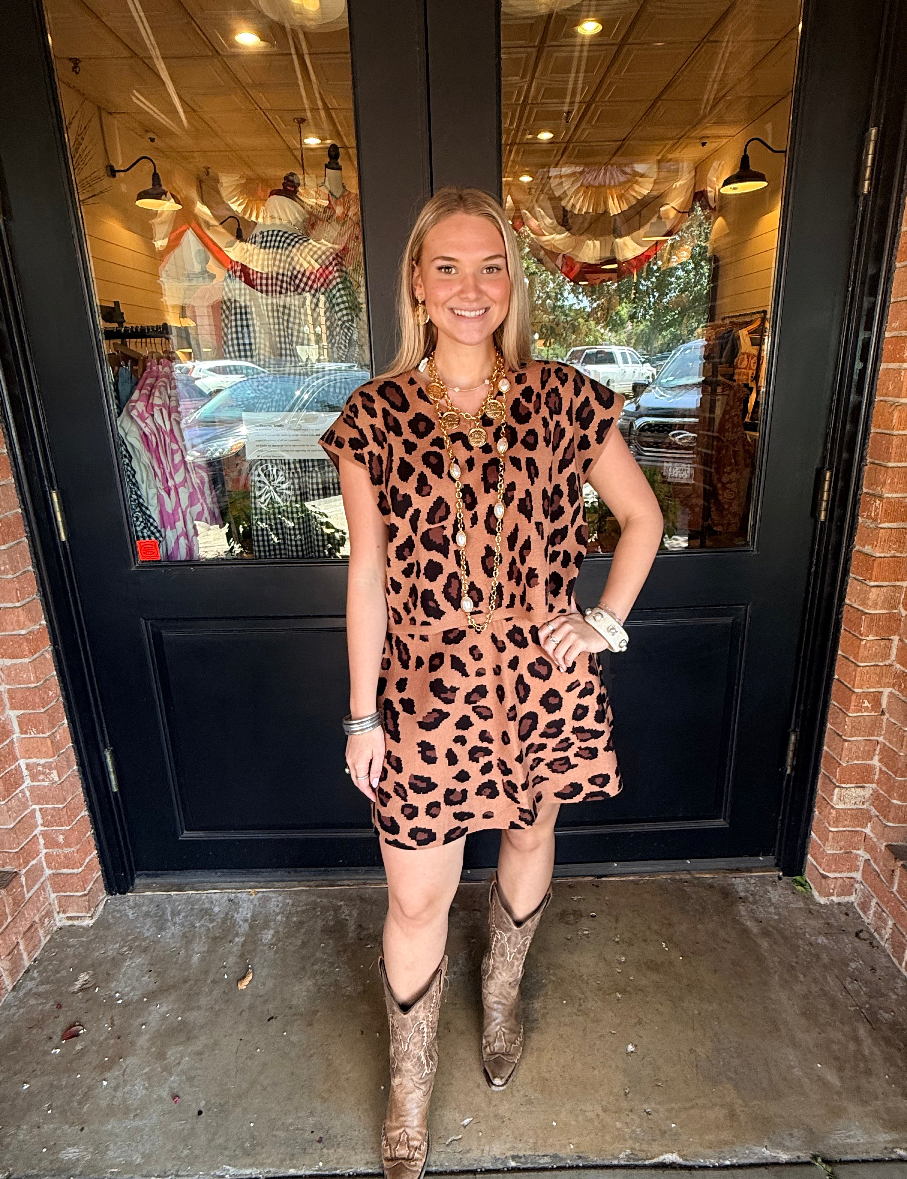 Dena Animal Print Top & Skirt Set