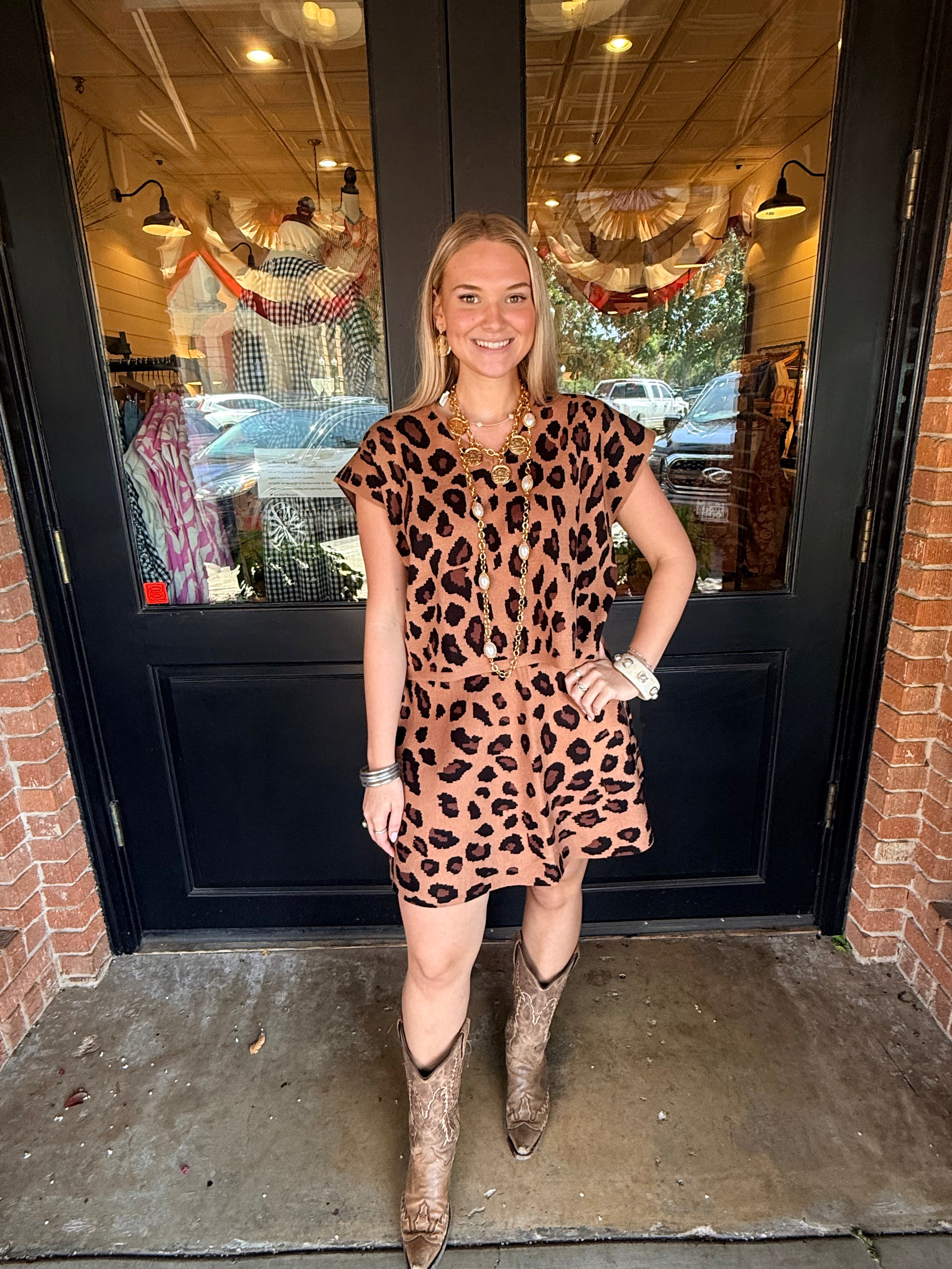 Dena Animal Print Top & Skirt Set