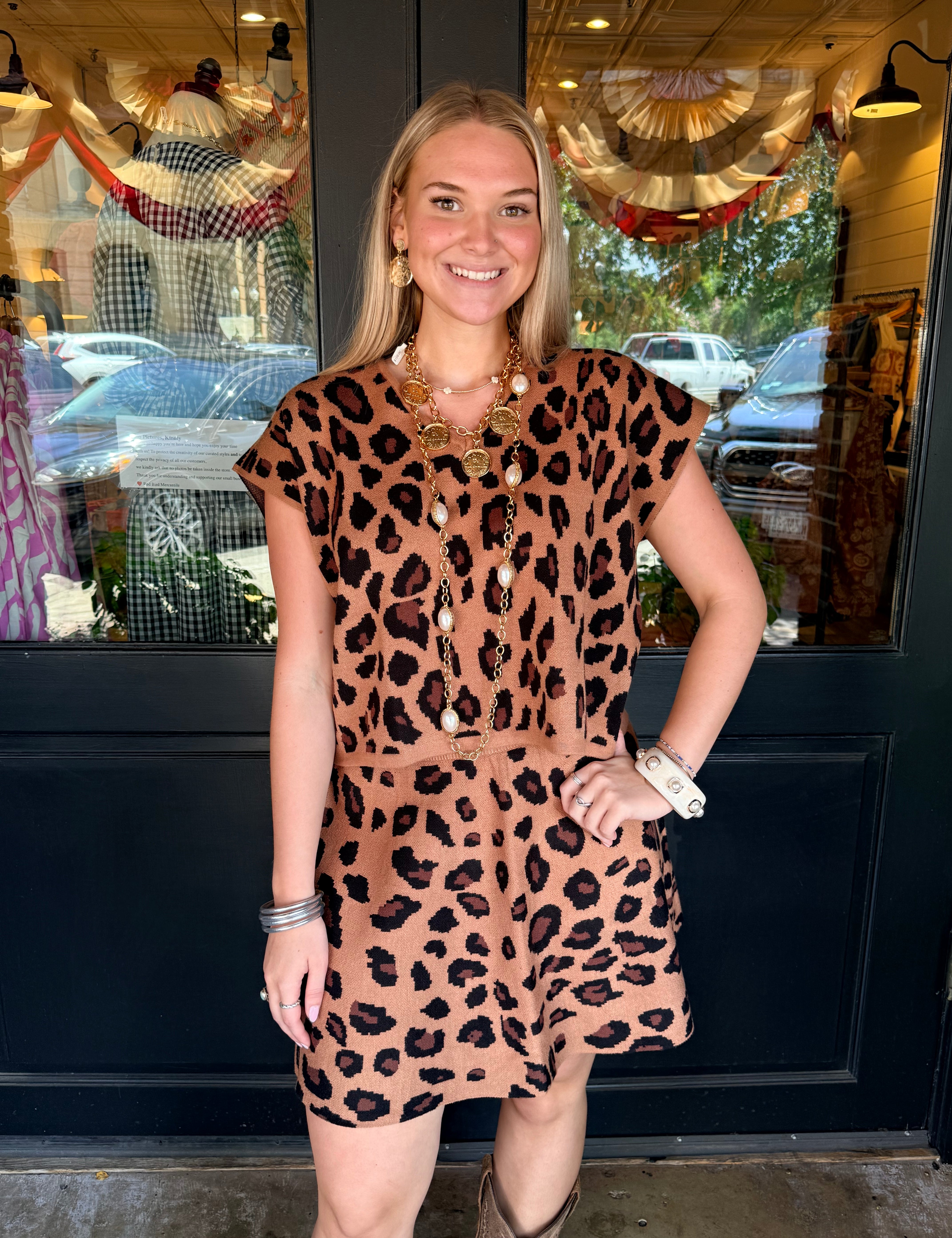 Dena Animal Print Top & Skirt Set