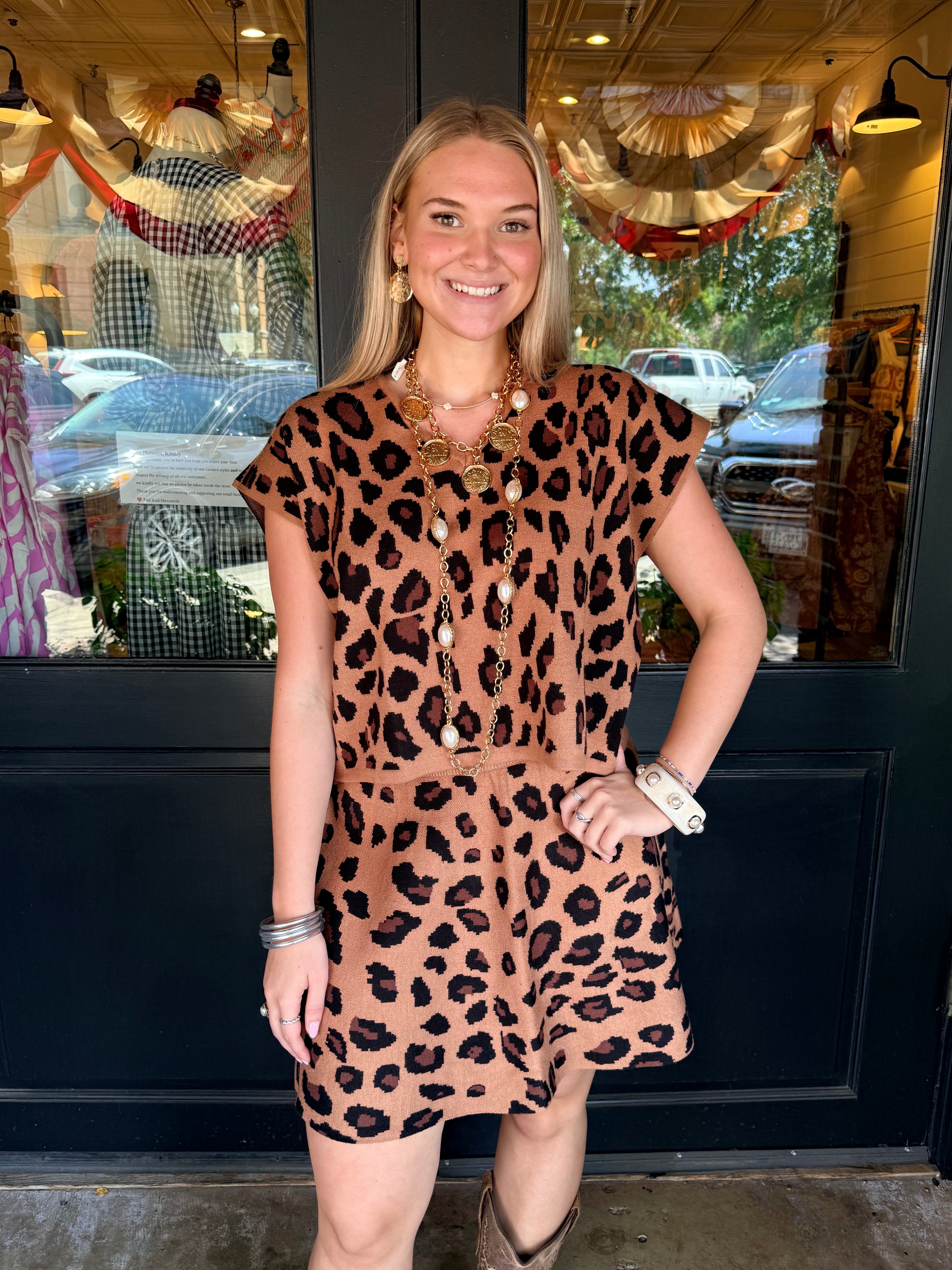 Dena Animal Print Top & Skirt Set