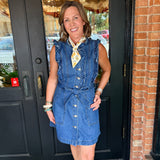Inez Denim Dress
