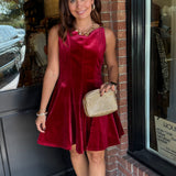 Juniper Velvet Mini Dress