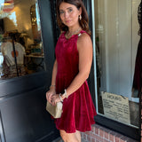 Juniper Velvet Mini Dress