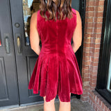 Juniper Velvet Mini Dress