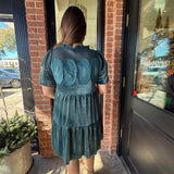 Nancy Velvet Mini Dress