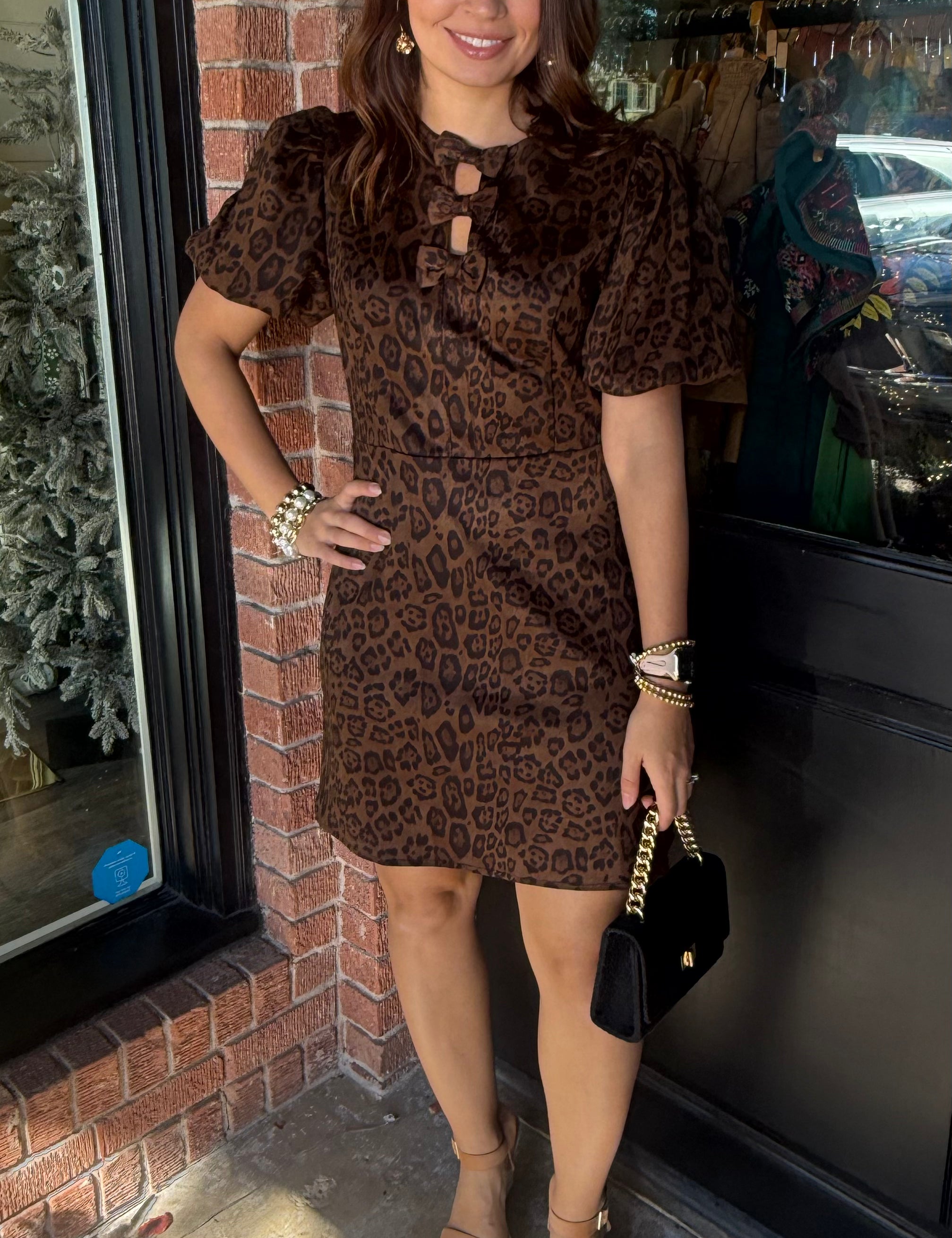 Vanessa Animal Print Suede Dress