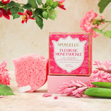 Spongelle Body Buffer