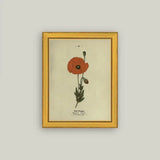 Red Poppy Artwork 8" x 10"