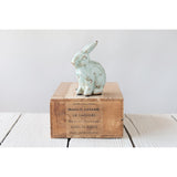 Terra Cotta Aqua bunny